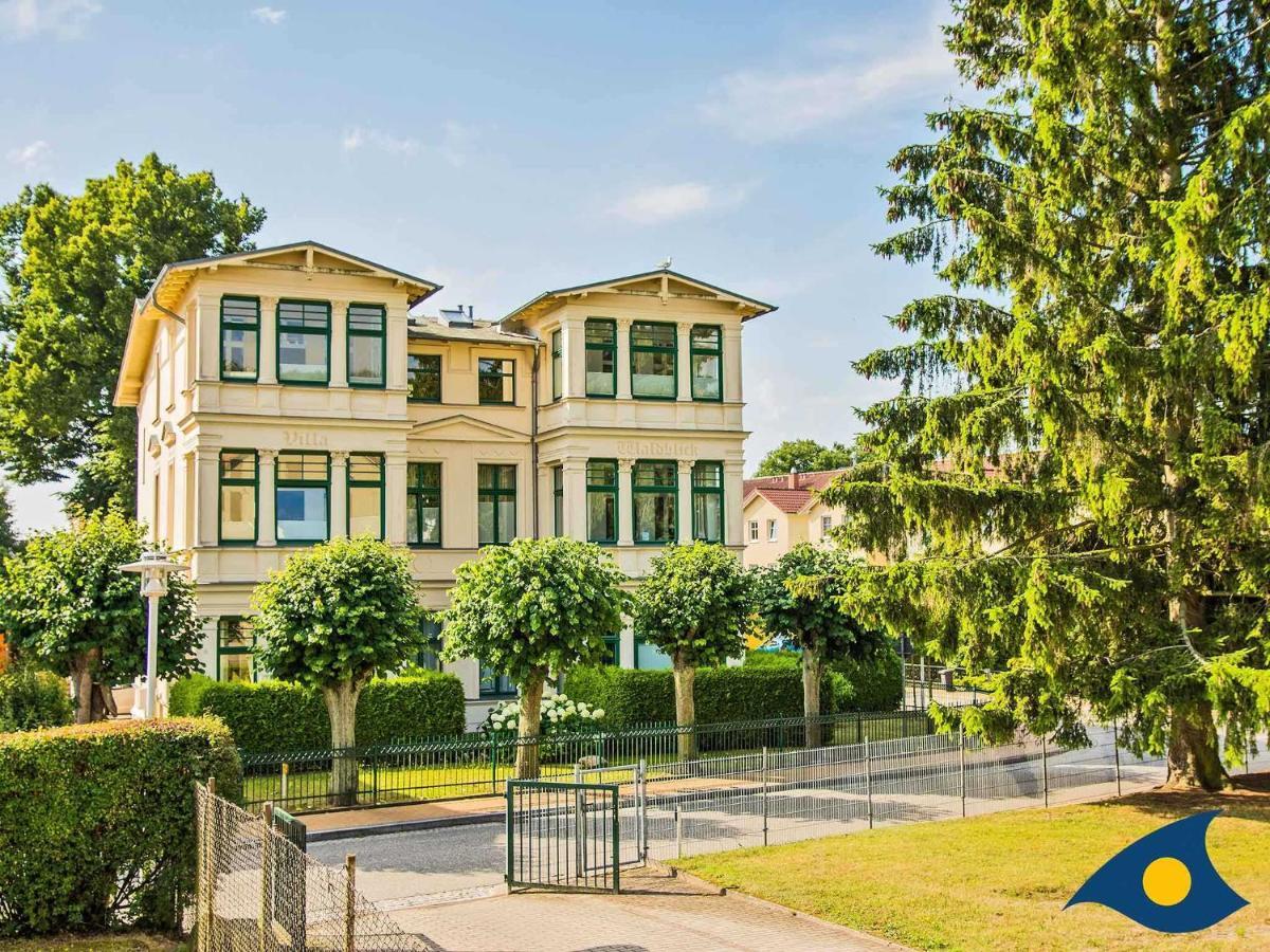 Villa Waldblick Whg 03 塞巴特黑灵斯多夫 外观 照片